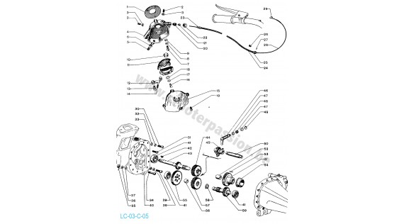 Suspension arrière