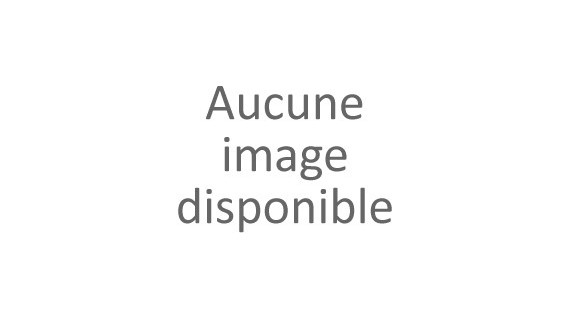 Pièces électrique et électroniques trottinette Dualtron Thunnder 2